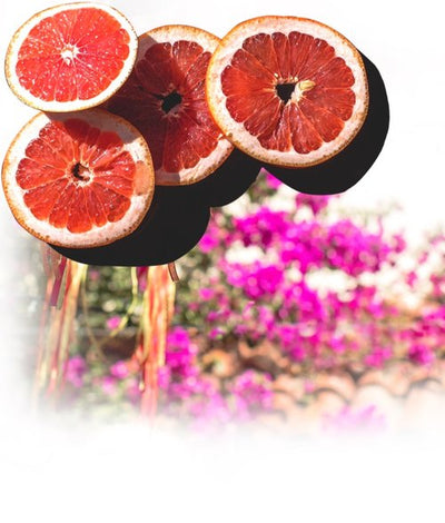 21 Seeds Grapefruit Hibiscus Tequila 750ML G