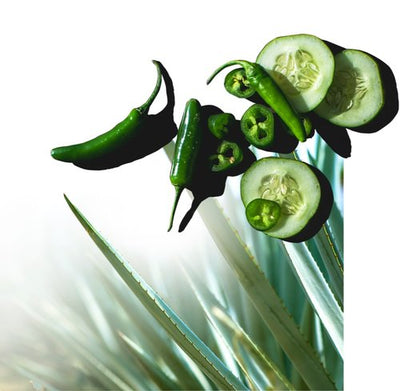 21 Seeds Cucumber Jalapeno Tequila 750ML G