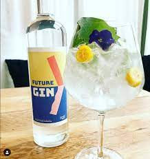 Future Gin 750ML V