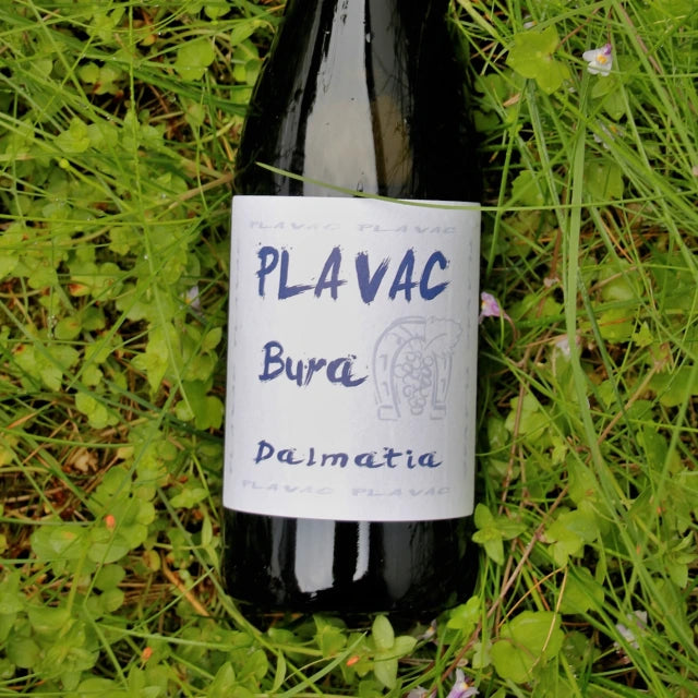 Plavac Bura Dalmatia Croatia 750ML L