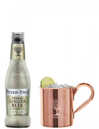 Fever Tree Ginger Beer 4PK 200ML