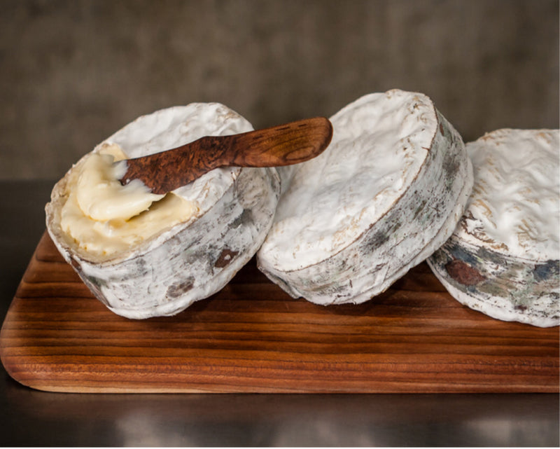 Jasper Hill Farm Harbison Cheese Single 5OZ F