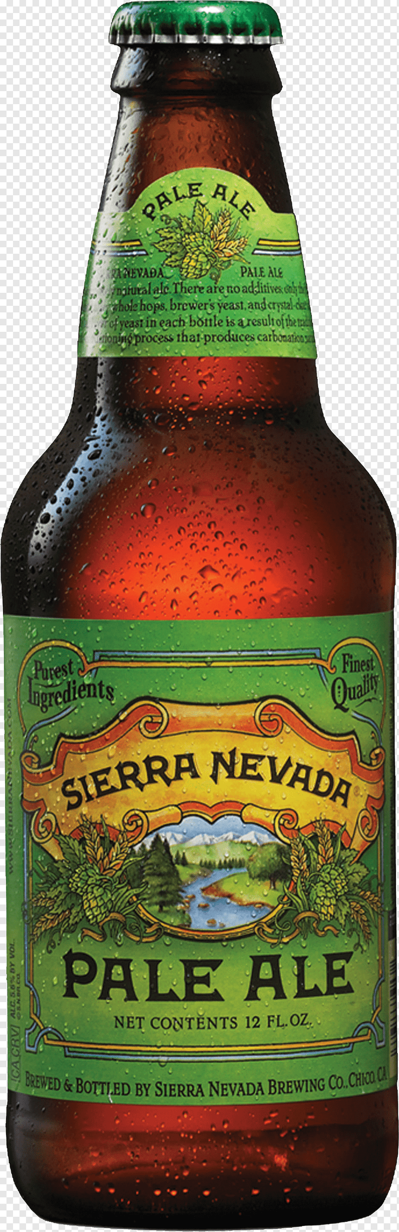 Sierra Nevada Pale Ale 6PK 12OZ